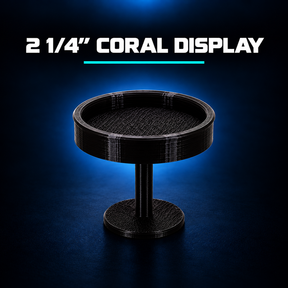 Coral Display