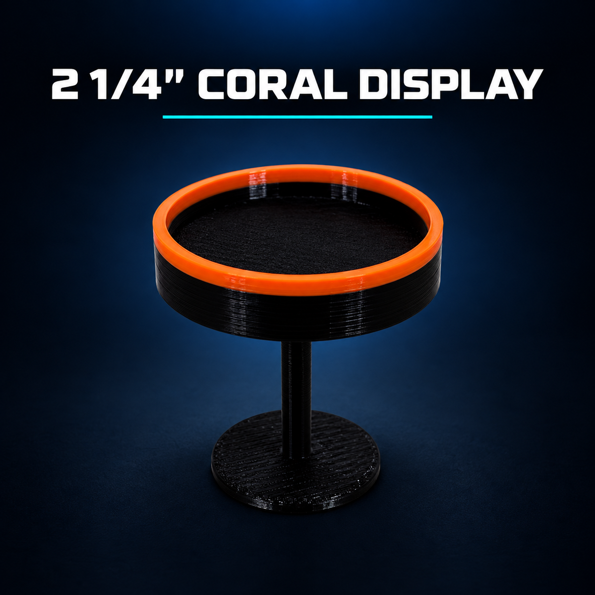 Coral Display