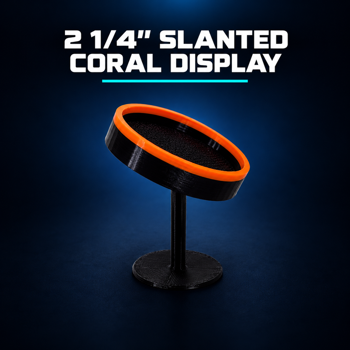 Slanted Coral Display
