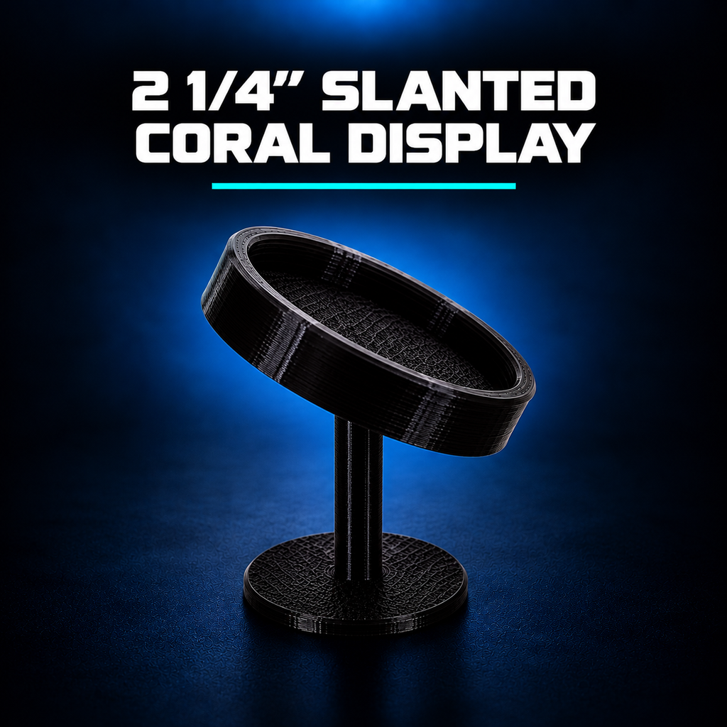 Slanted Coral Display