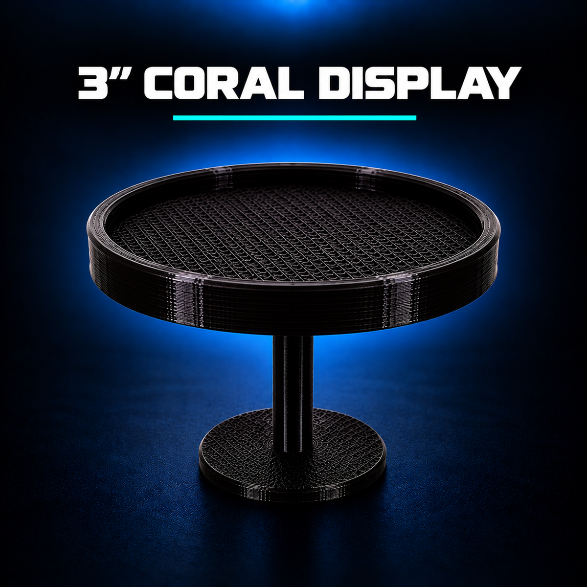 Coral Display