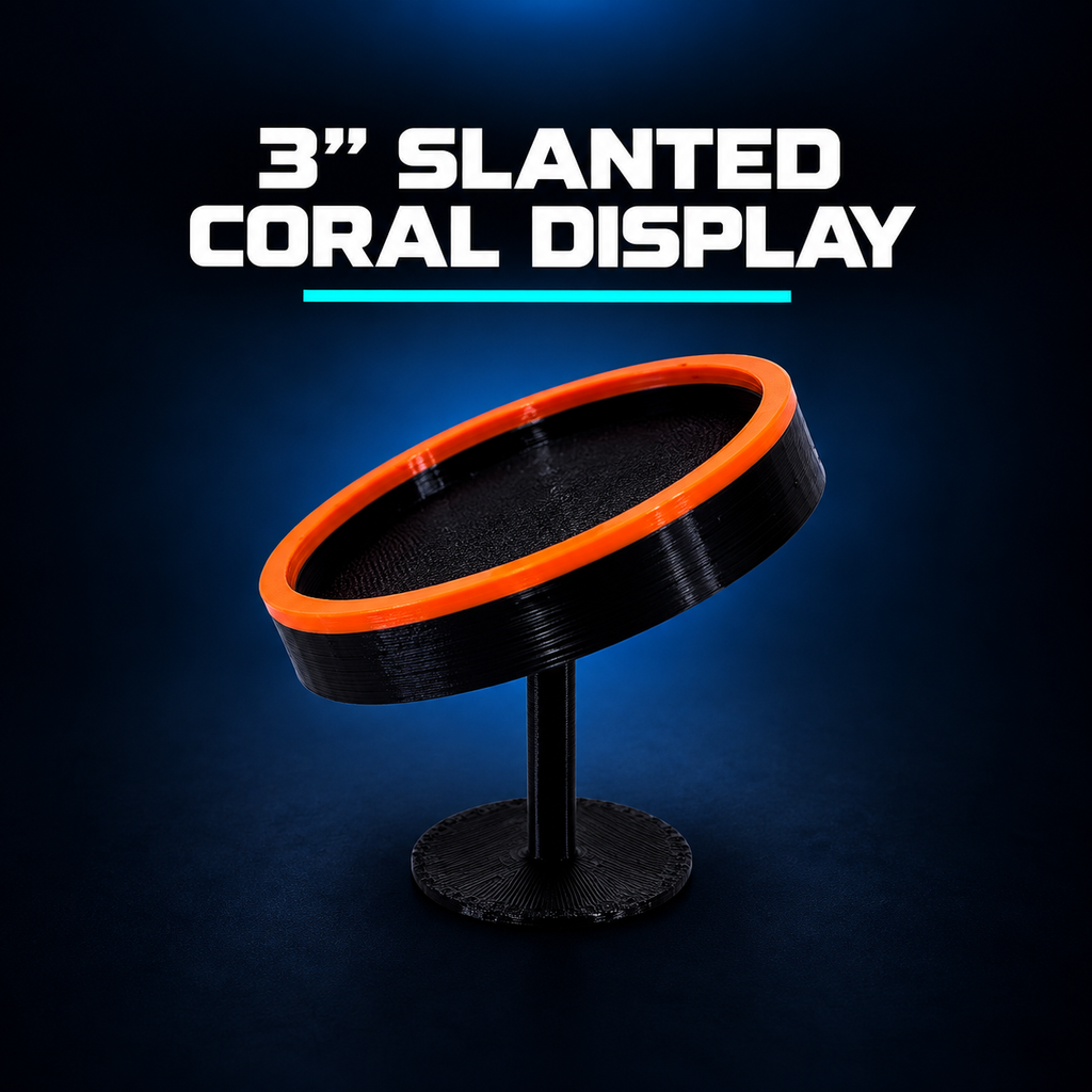 Slanted Coral Display